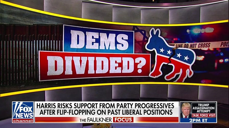 Democrats defend Kamala Harris' vague policy stances