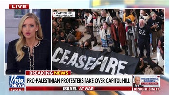 Pro-Palestinian demonstrations engulf Capitol Hill