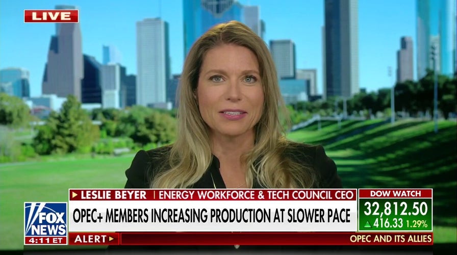 OPEC announces modest production increases: 'Vilification' of domestic fossil fuel industry