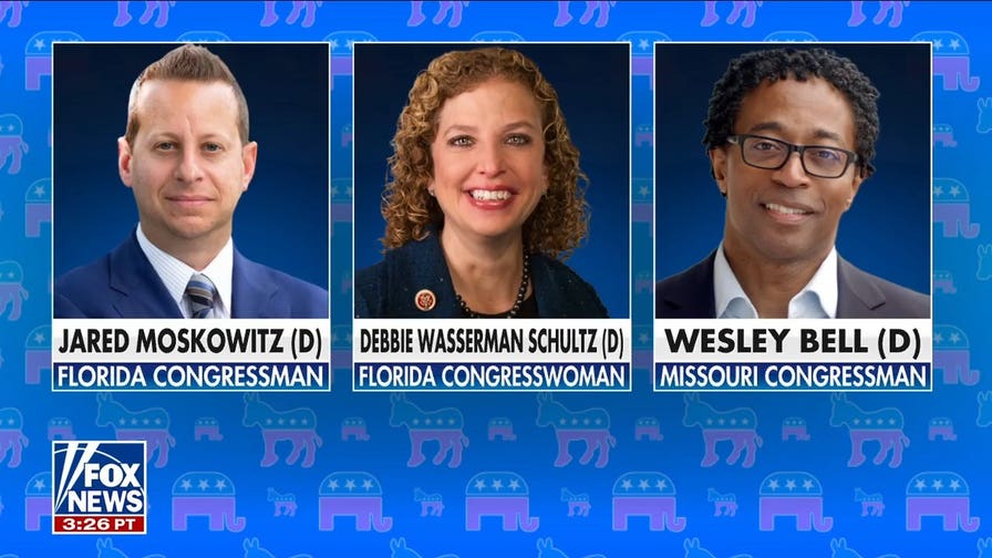 House Dems appoint pro-Israel lawmakers in blow to party's far-left wing