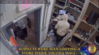 Masked men caught on camera ransacking store at Florida mall