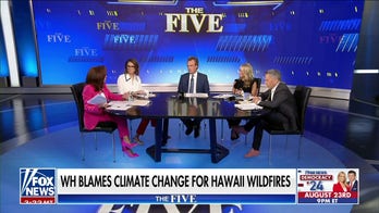 What led to the deadly wildfires in Hawaii?