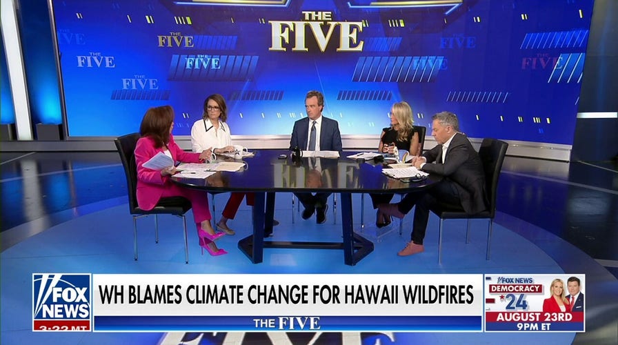 What led to the deadly wildfires in Hawaii?