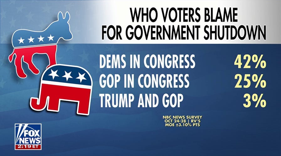 Democrats blamed for government shutdown, according to new polls