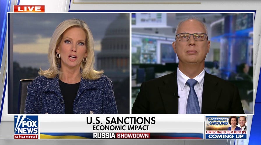 Putin economic advisor says sanctions are not the 'solution' to war in Ukraine