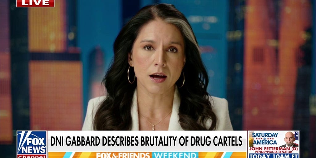 Tulsi Gabbard describes brutality of drug cartels | Fox News Video