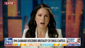 Tulsi Gabbard describes brutality of drug cartels