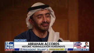 We’re taking investments in the US 'one step further,' says UAE foreign minister