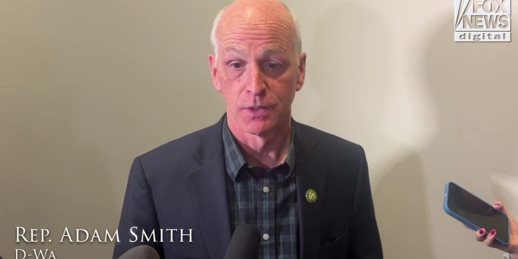 Democratic House member suggests Speaker Johnson should have passed appropriations bills ‘weeks ago’