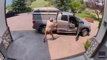 Bear caught lounging inside Colorado man's truck before being chased away