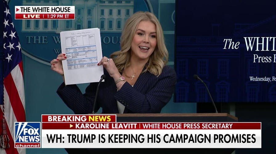 Karoline Leavitt defends Elon Musk, DOGE: 'I brought receipts'