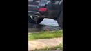 Bird enjoys a bath as water flows down the street during a fire hydrant check