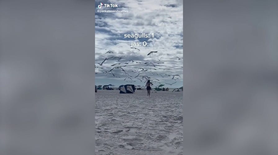 Seagulls swarm a Florida beachgoer with food