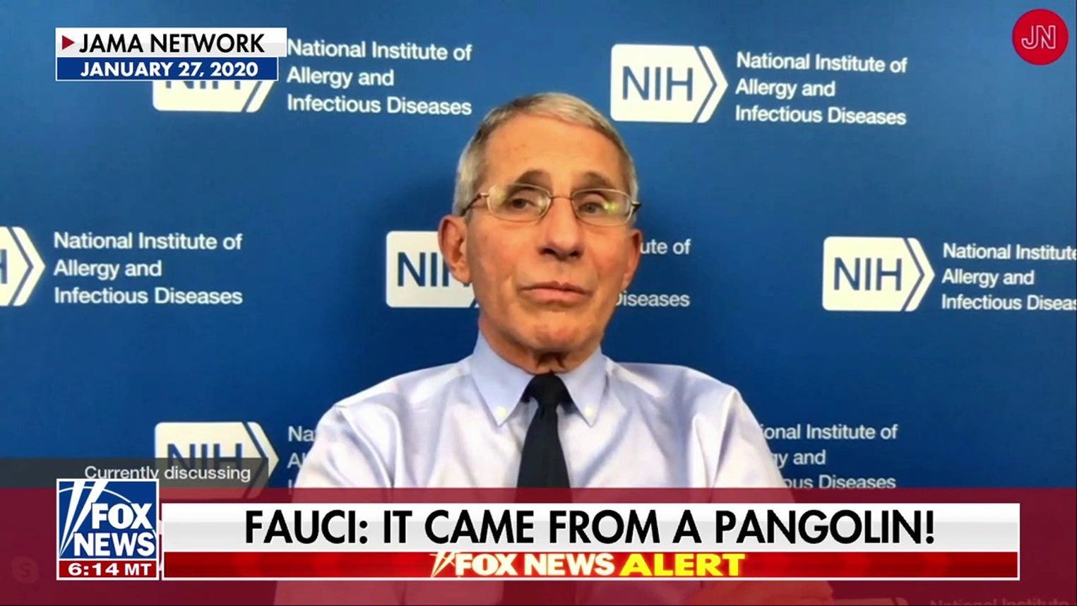 Watters: Fauci was infatuated...with himself