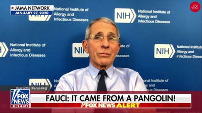 Watters: Fauci was infatuated...with himself