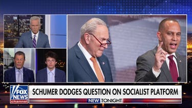 Democrats distance themselves, dodge association with DSA