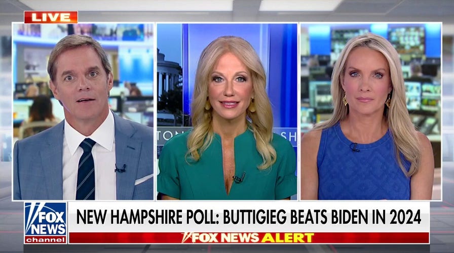 Kellyanne Conway: Only Democrats in the White House think Biden is successful