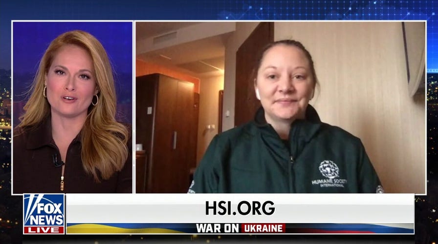 Inside the effort to save homeless animals from Ukraine