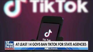 Joe Rogan says TikTok should be illegal: 'It's Chinese spyware' - Fox News