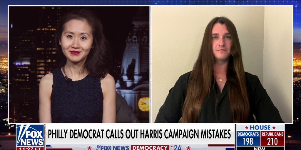We cannot keep indulging the ‘fringe of the party’, says Kamala Harris surrogate Lindy Li