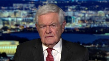 Joe Biden is the head of the 'Delaware Sopranos': Gingrich