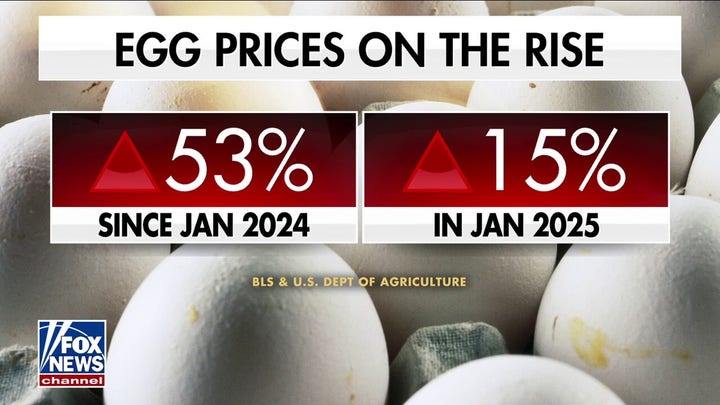 La gripe aviar podría ser "el peor brote de la historia", según el vicepresidente de Eggs Unlimited