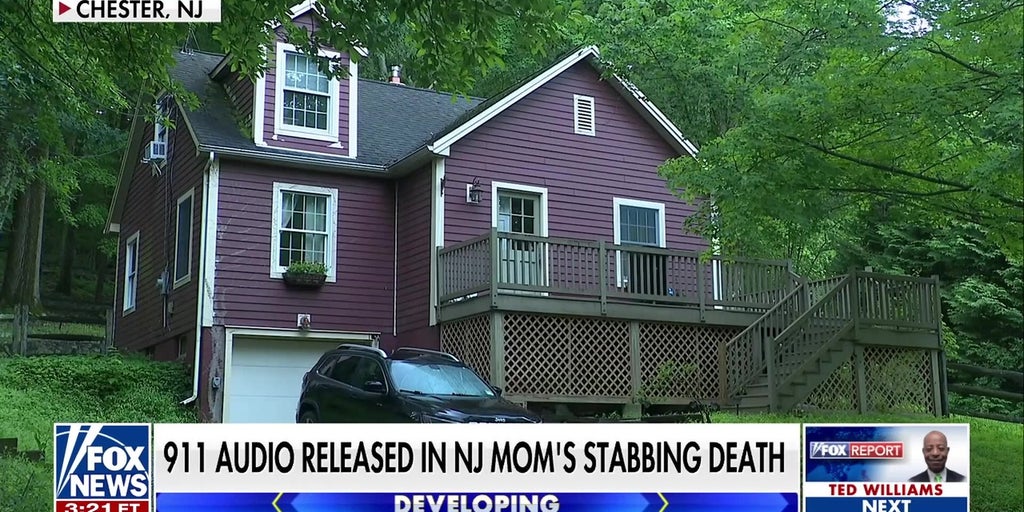 911 call reveals Brooke Hanlon’s husband frantically calling after discovering stab wounds
