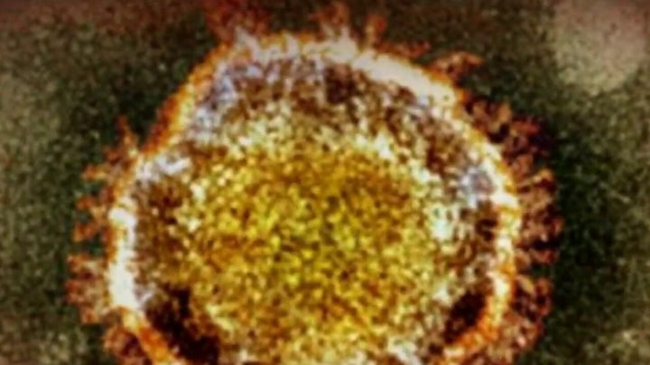 Worldwide coronavirus cases surpass 500,000