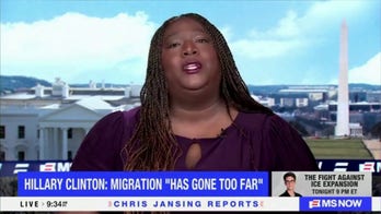 Dem strategist Maya Rupert calls out Hillary Clinton for saying mass immigration has gone 'too far'