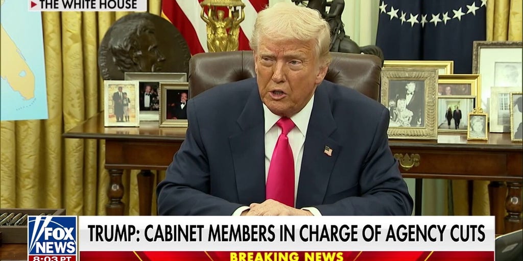 Dems criticized for 'whining and complaining' about Trump's policies