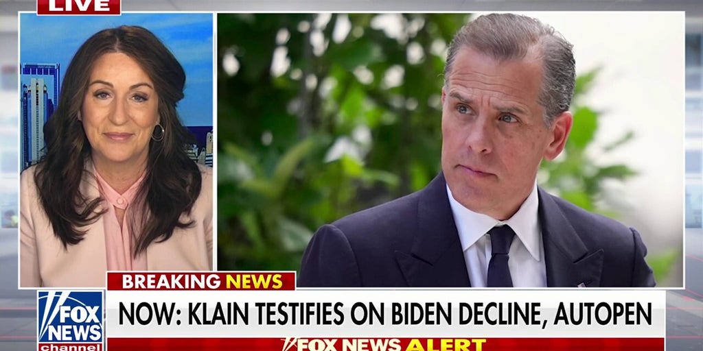 Hunter Biden is ‘full of delusions,’ Miranda Devine argues