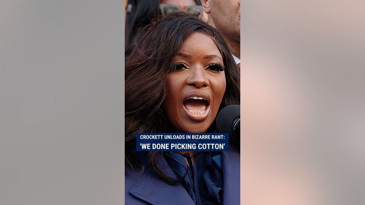 Crockett unloads in bizarre rant: 'We done picking cotton'