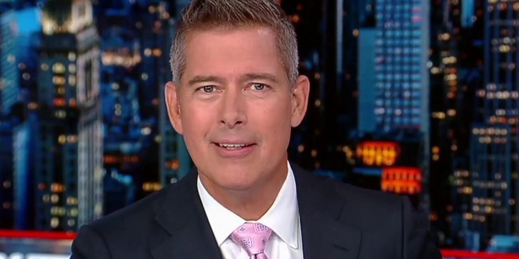 Sean Duffy America is constantly being divided Fox News Video