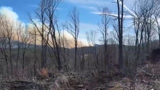 Wildfires scorch the Carolinas - Fox News