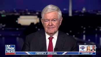Putin believes he can 'talk and fight,' says Newt Gingrich