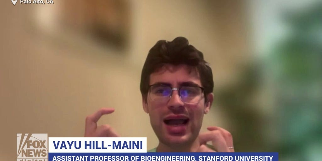 'Delicious, creative' addition to 'chef's toolbox' will surprise everyone