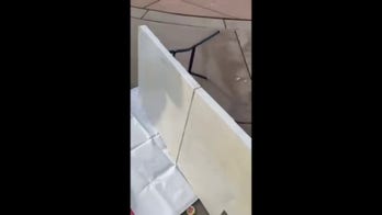 University department chair on leave after allegedly flipping College Republicans' table