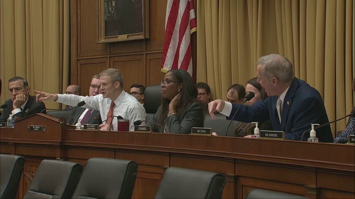 Weaponization hearing devolves into chaos as Democrat shouts at Republicans over witness testimony