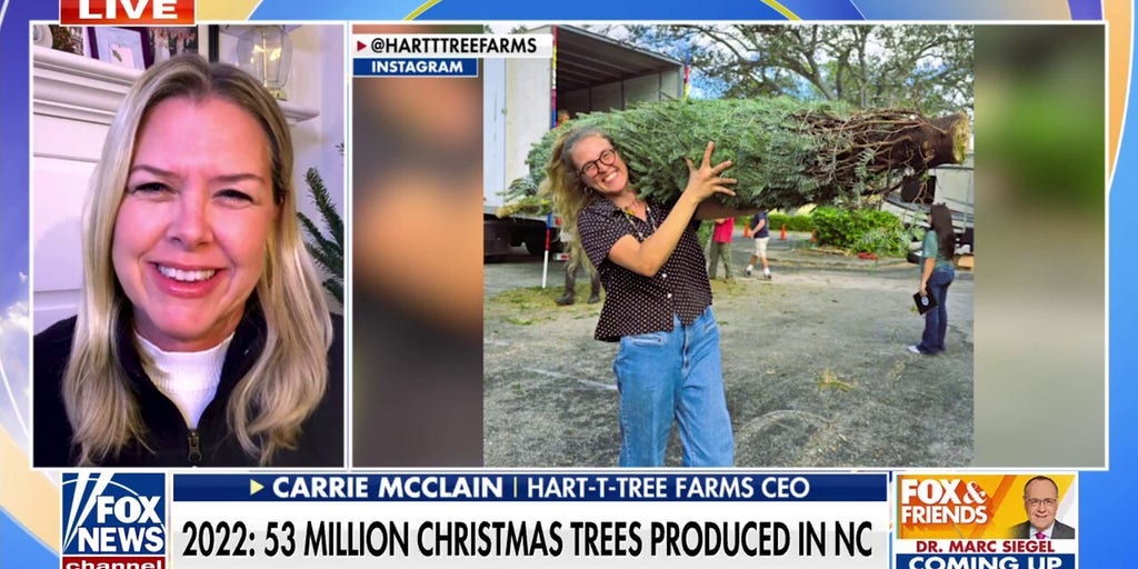 NC tree farm rebounds after Helene: ‘We could all use a good Christmas’