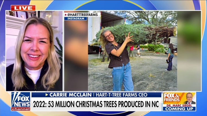 NC tree farm rebounds after Helene: ‘We could all use a good Christmas’