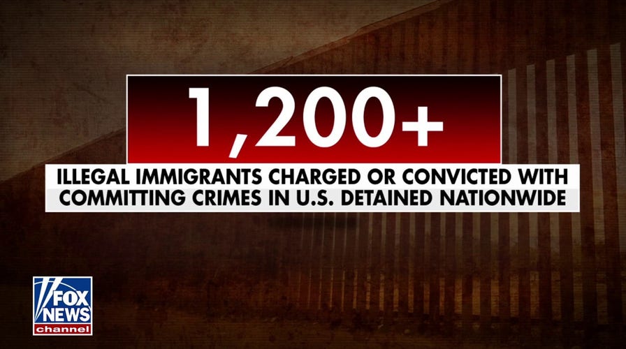 Chicago ICE director praises support from Trump admin to target worst of the worst
