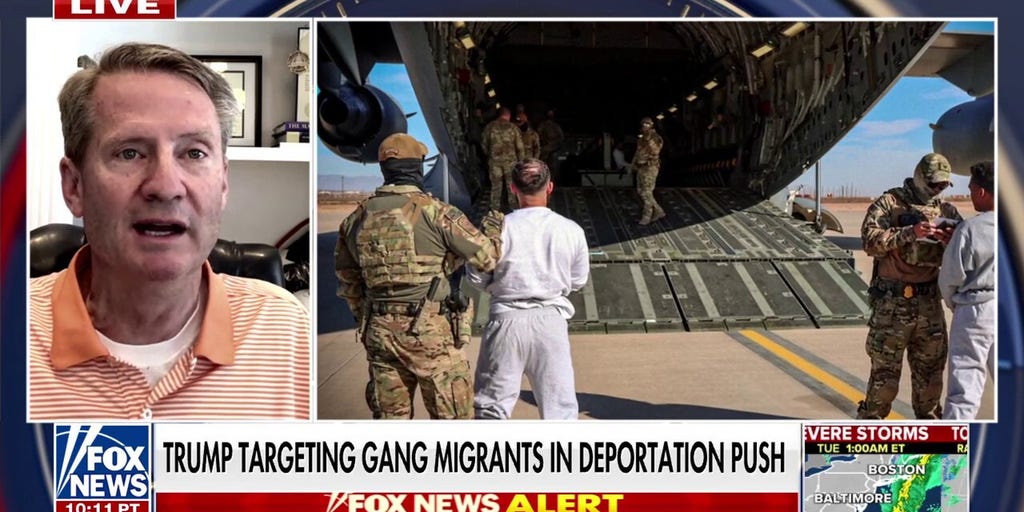 'They think they have infinite power': GOP Rep. Burchett slams federal judges for halting deportation flights