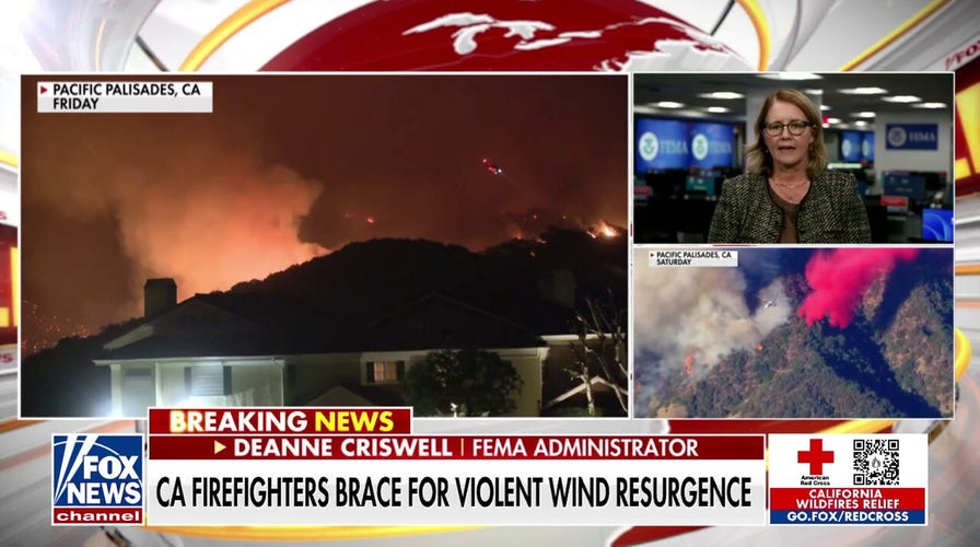FEMA administrator details resources for victims of Los Angeles wildfires