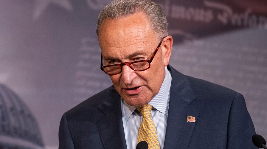 Schumer visibly emotional after Supreme Court rejects Trump administration's bid to end DACA program