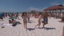 Panama City Beach police to use new K9 dogs, crime cameras to crack down on spring break drug use