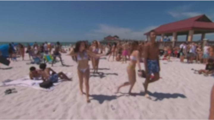 Panama City Beach police to use new K9 dogs, crime cameras to crack down on spring break drug use