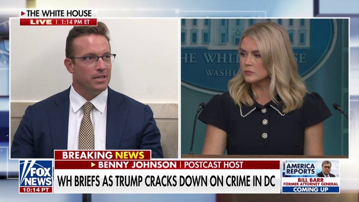 Karoline Leavitt: This should be a 'winning issue' for all Americans