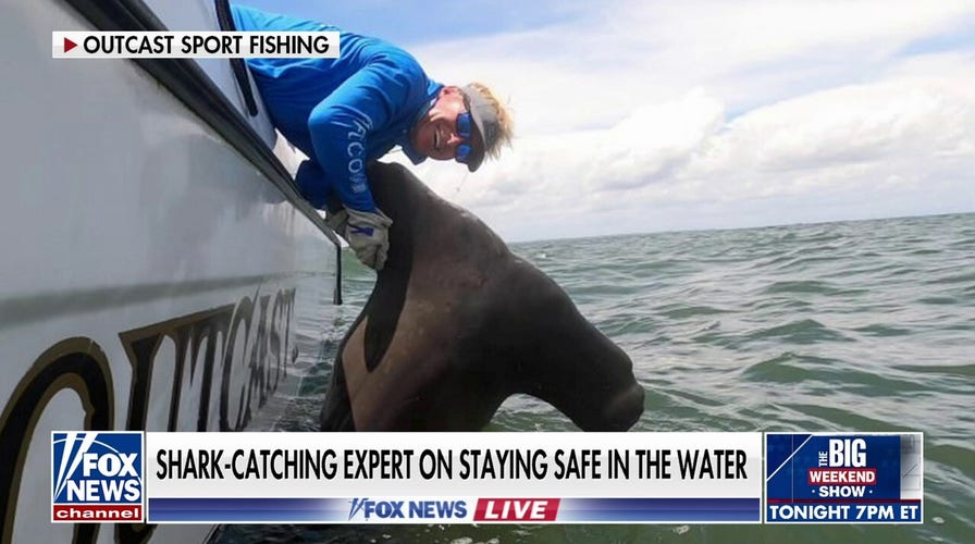 Despite five NY shark bites since Monday, the odds are ‘in your favor’ not to get bitten: Chip Michalove