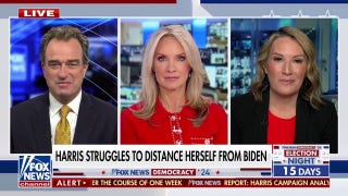 There is a ‘shift’ from Kamala Harris’ momentum over the summer, Democratic strategist says - Fox News