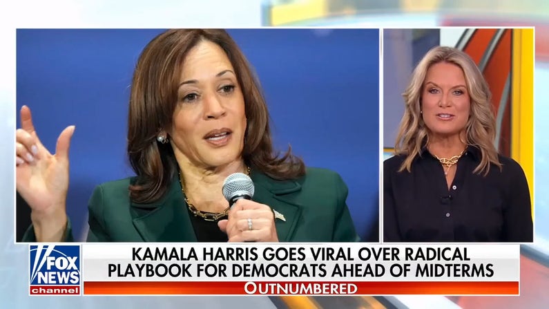 Kamala Harris's 'radical playbook' for Democrats ahead of midterms sparks backlash